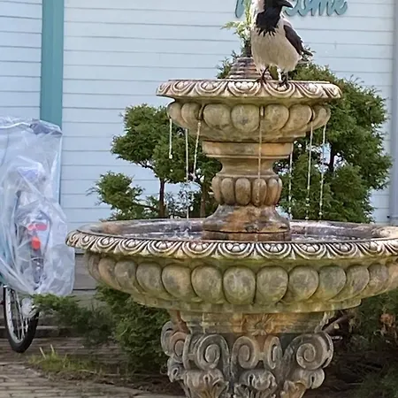 Parus Boutique Jūrkalne